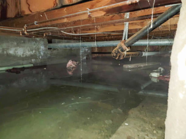 Best 24-hour water damage restoration  in Monroe North, WA