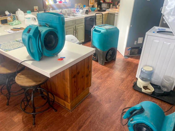 Best Water damage restoration near me  in Monroe North, WA