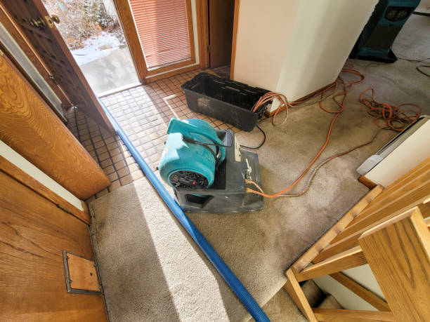 Professional Water damage restoration in Monroe North, WA