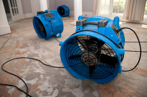 Best Mold removal after water damage  in Monroe North, WA