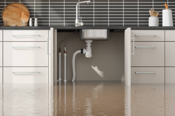 Best Ceiling water damage repair  in Monroe North, WA